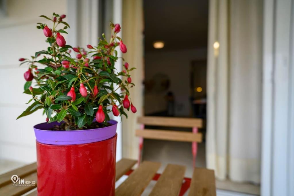 Thyme Out In Athens Apartment Luaran gambar